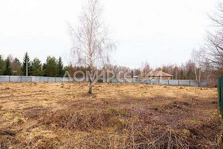 КП 11072 Милюково. Участок 30 соток в Новой Москвы в уютном обжитом поселке Новая Москва