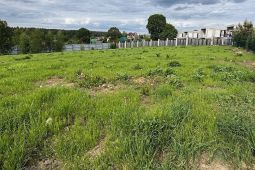 11775 КП Папушево Парк. Пространство для вашей резиденции