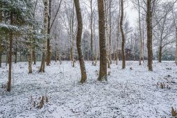 11405 КП Зеленые Холмы. Земельный участок 11 соток под индивидуальную жилую застройку