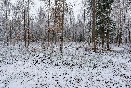 КП Романцево д. Новая Москва КП Романцево д. Новая Москва