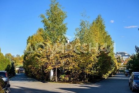 Купить участок в коттеджном поселоке Береста Купить участок в коттеджном поселоке Береста