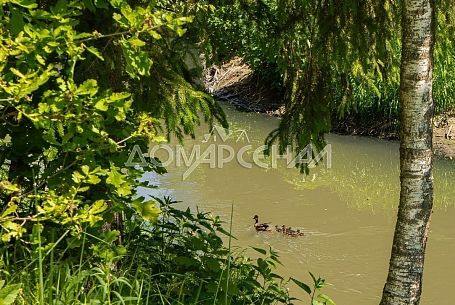 Купить участок в коттеджном поселоке У Реки