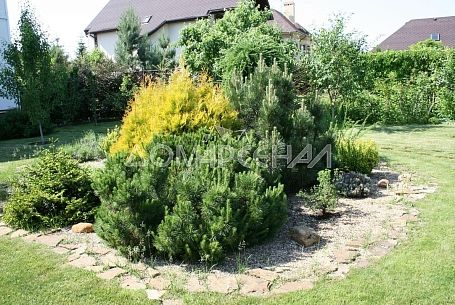 Коттеджный поселок Чистые пруды