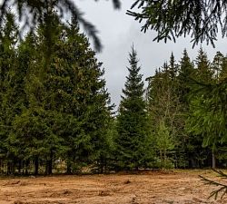 11490 КП Иславское. Земельный участок 13 соток