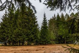 11490 КП Иславское. Земельный участок 13 соток