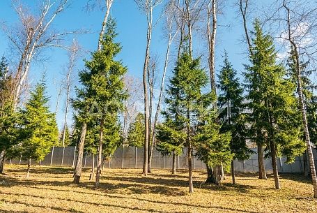 КП Антоновка