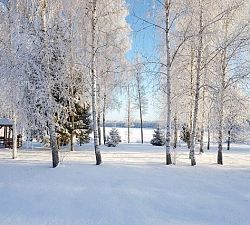 11496 ДП Хорошово. Участок на первой береговой линии