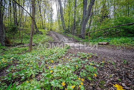 КП 10418 Красное. Видовой лесной участок рядом с рекой  Новая Москва