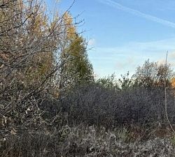 11587 Зименки. Участок под ИЖС 41 сот.