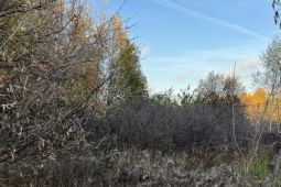 11587 Зименки. Участок под ИЖС 41 сот.