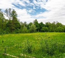 11691 Кукшево. Земельный участок 3 Га для ведения личного подсобного хозяйства